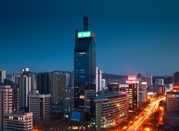 Grid Shandong Electric Power Company Reactive Power Project